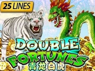 Double Fortunes screenshot